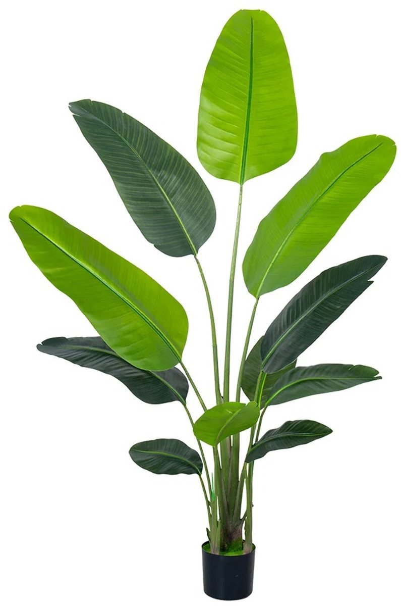 Veya Kunstplant 180cm - Flexibel vormbaar - Nepplant - Kunstplanten voor binnen - Bananenbladeren - Strelitzia - Groen - Zijde