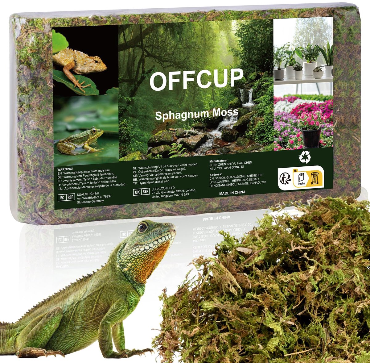 Dailygoods - 150g Premium Sphagnummos voor Terrarium - Natuurlijke Mosstenen voor Planten