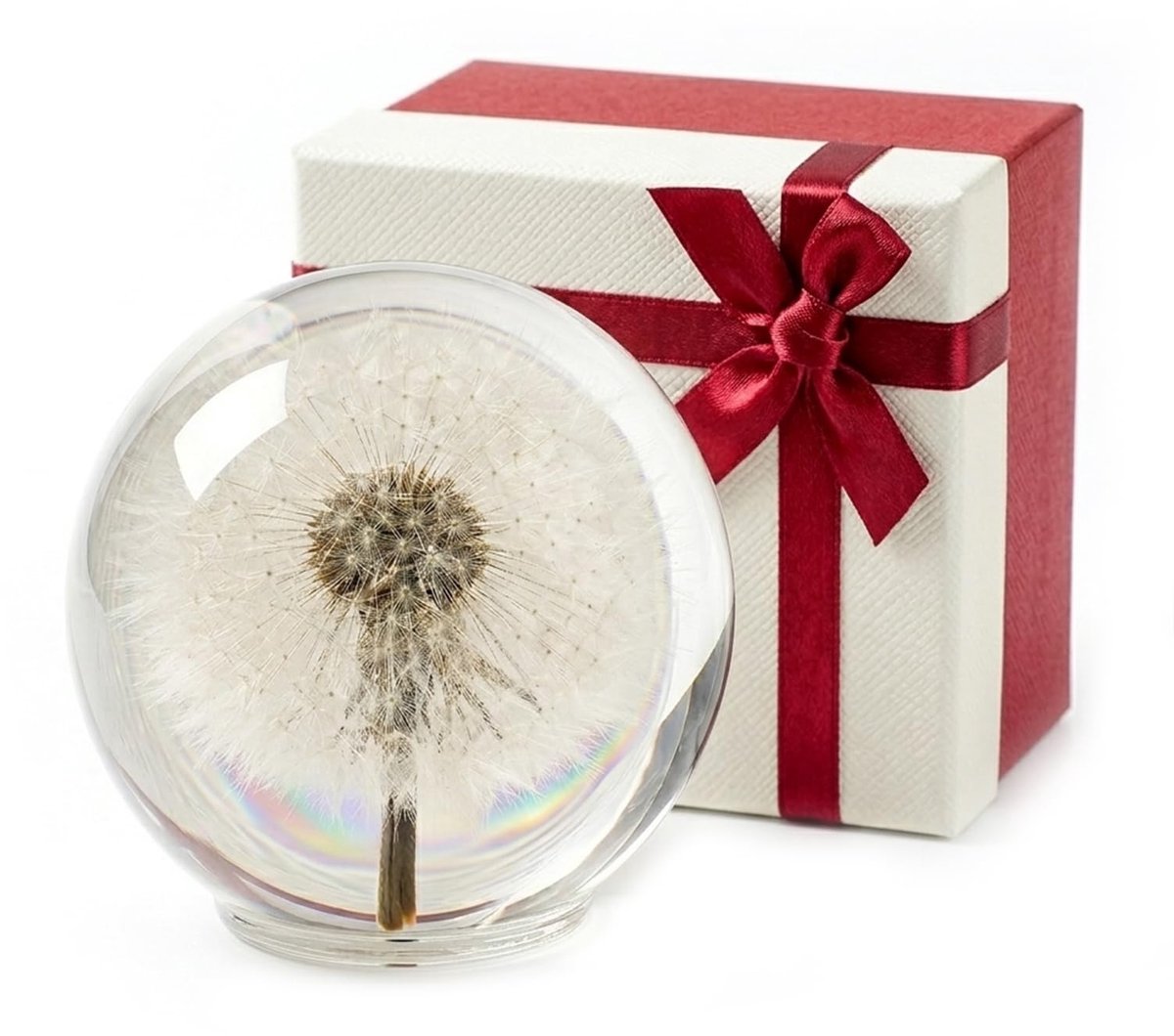 Dailygoods- Wensvuller - Paardenbloem in Kristalglas - Handgemaakt Souvenir - Cadeau met Doos & Kaart - Decoratief Object - Symbool van Hoop en Geluk - Papiergewicht