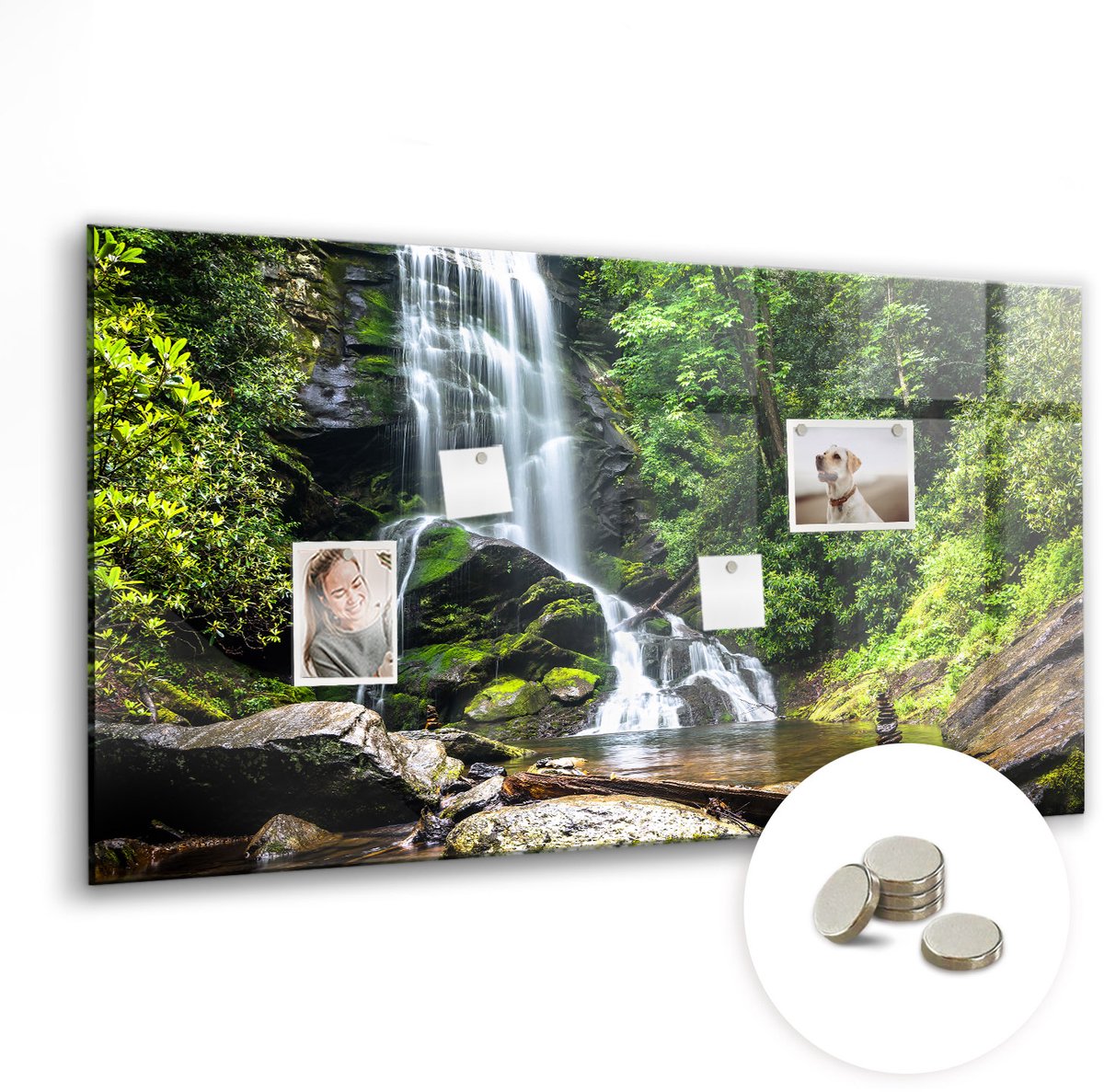 Coloray Glazen Magneetbord - Magnetisch Bord Natuurlijke bosbomen - 120x60 cm - Veelkleurig Magneetbord - Magnetic Board - Woonkamer Decoratie