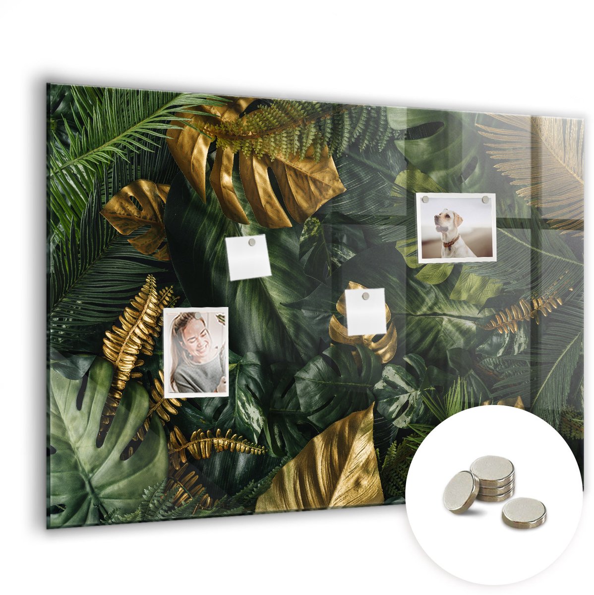 Coloray Glazen Magneetbord - Magnetisch Bord Rivier in het bos - 100x70 cm - Groente Magneetbord - Magnetic Board - Woonkamer Decoratie