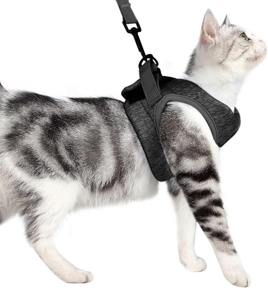 Ademend en comfortabel kattenharnas voor veilig buitenlopen, verstelbaar en duurzaam met klittenbandsluiting, ideaal voor huisdieren