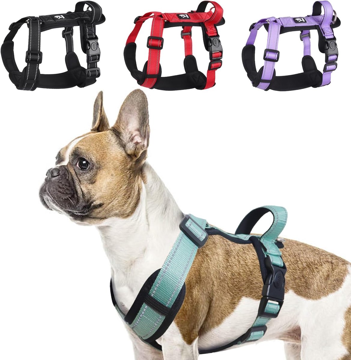 SnelShoppen - Soft Adjustable Dog Harness voor Kleine Honden, H-Harness met Reflecterende Strips, Geschikt voor Training, Wandelen en Hiken, Groen, M
