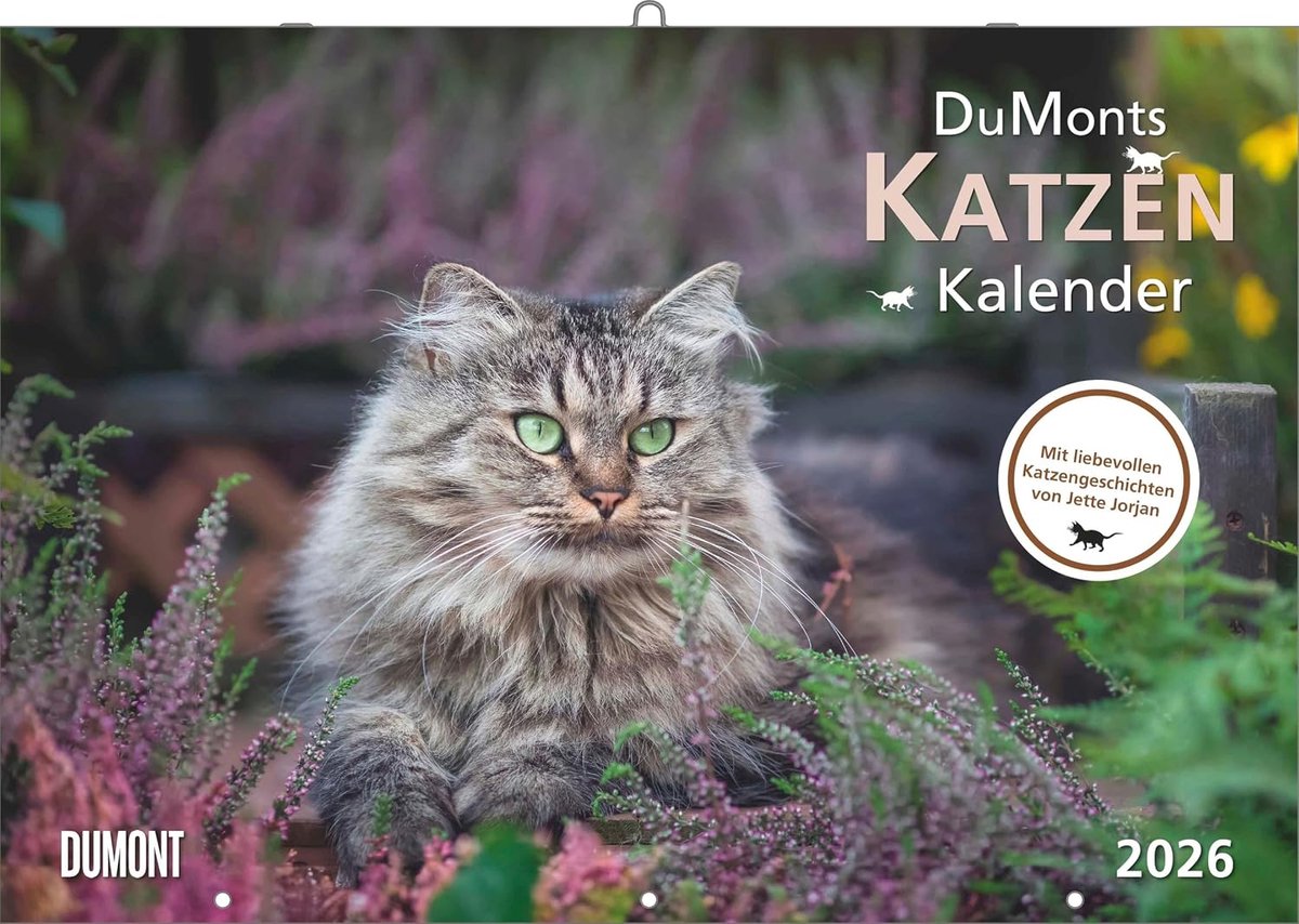 SnelShoppen - Katzenkalender 2026 - Wandkalender met Schulferienterminen - Broschürenkalender 42 x 29 cm met kortweilige Katzengeschieden