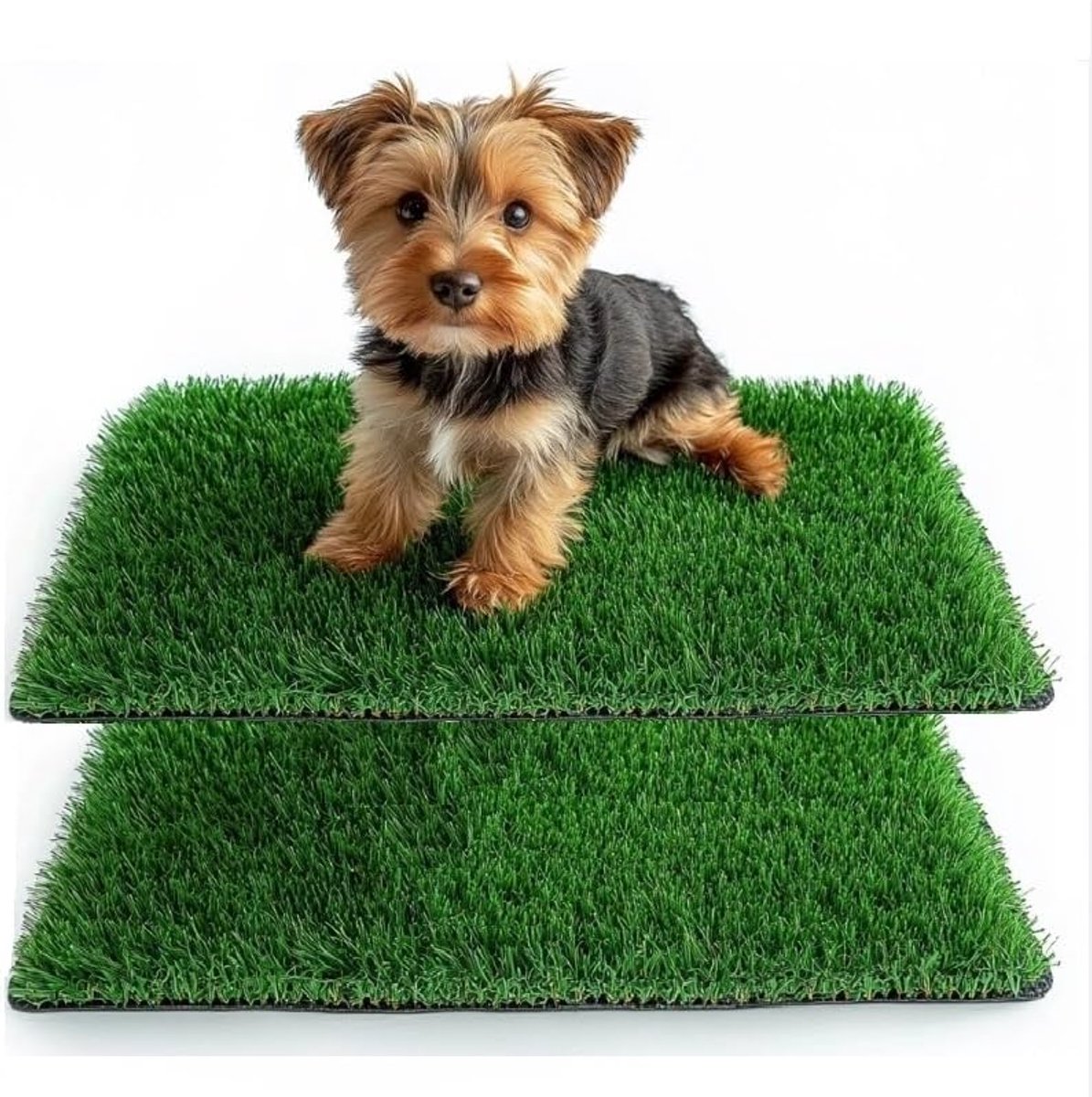 SnelShoppen - 38 x 50 cm Dog Toilet voor Thuis, Balkon & Puppy Training - Kunstgras met Drainage - Ideaal voor Binnen & Buiten