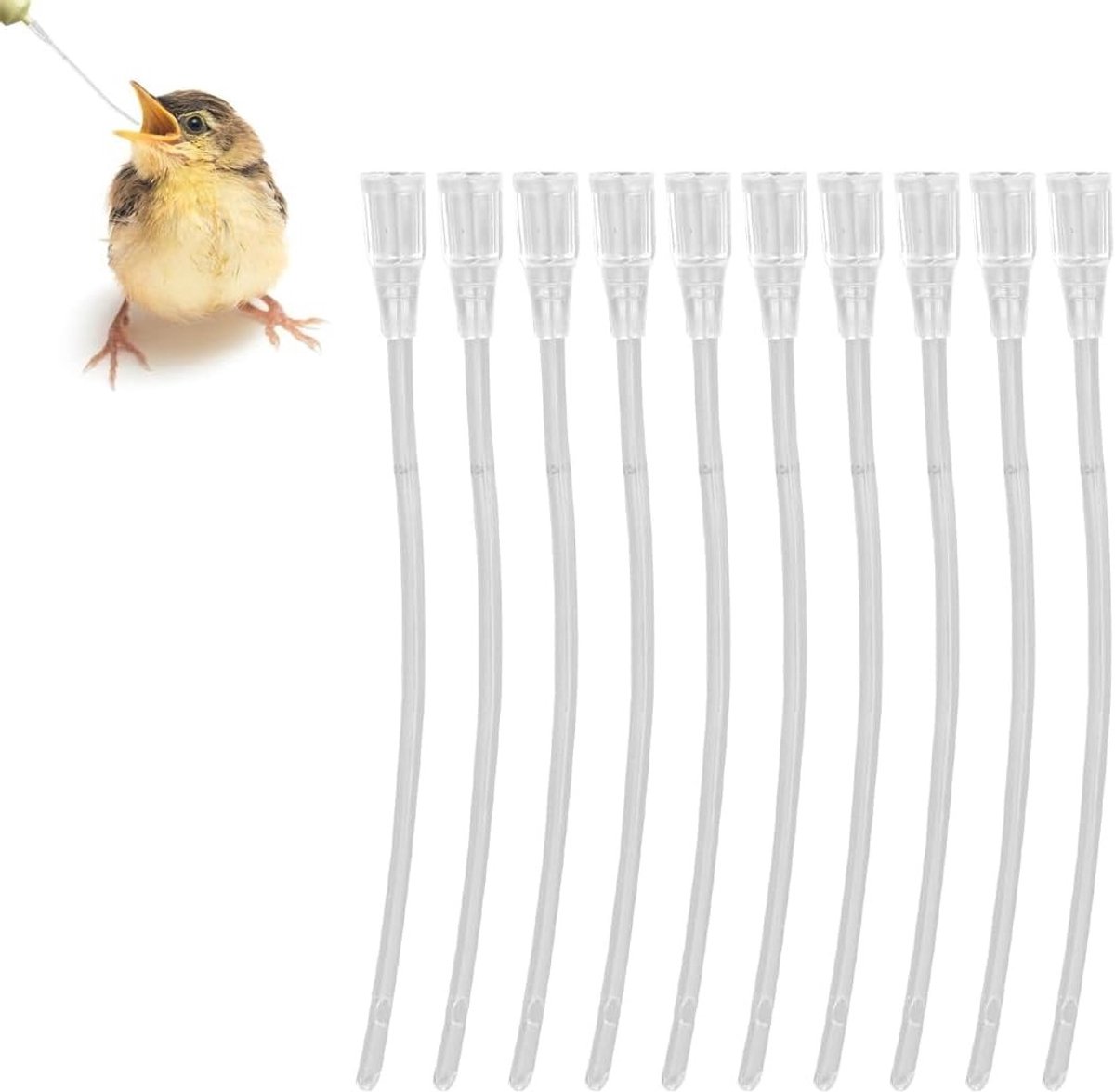 Voedingsmaterialen voor papegaaien, vogels, slangen en huisdieren - 20 stuks voor een gezonde voeding