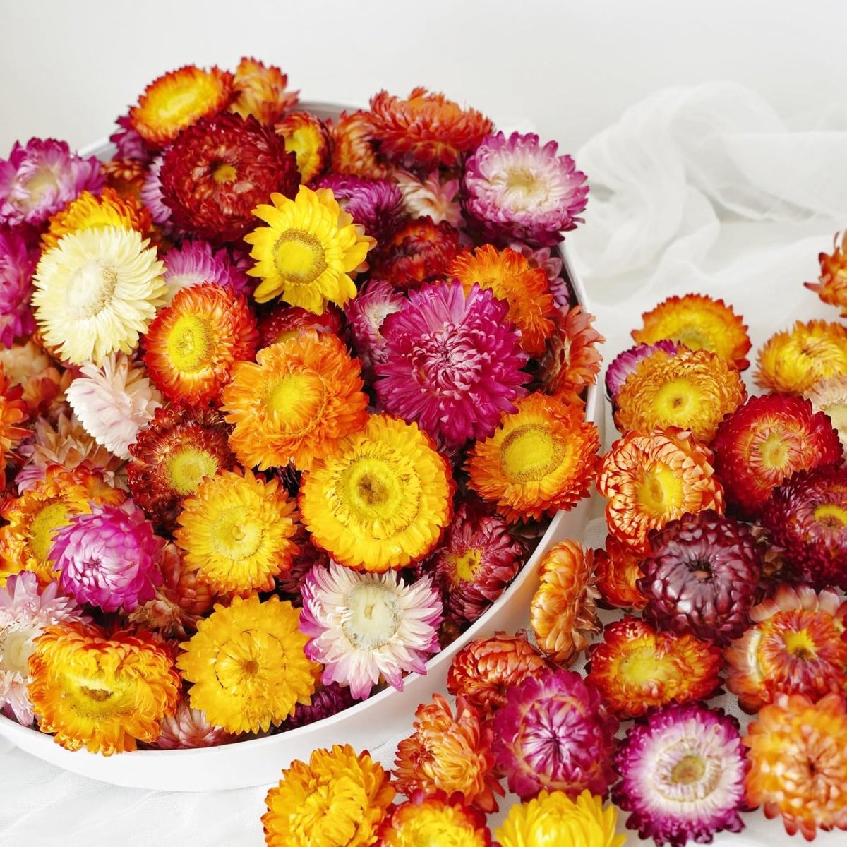 Gedroogde bloemkoppen, 40 stuks natuurlijke gerbera, echte zonnebloemen, chrysanten, droogbloemenarrangementen voor bruilofts- en thuisfeestdecoratie, knutselwerk