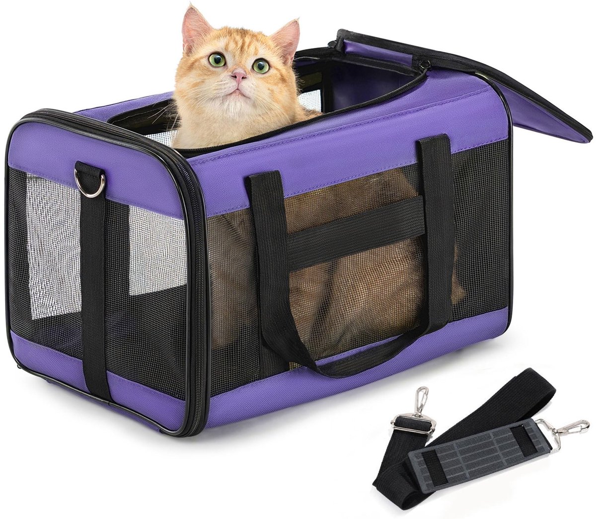 Omgoods - Vervoersbox voor Katten en Honden, Opvouwbaar en Comfortabel