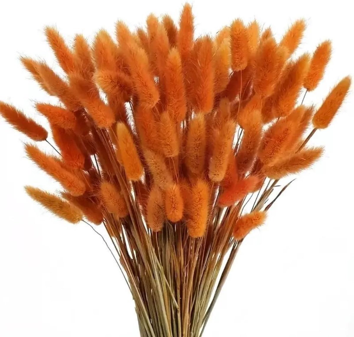 SnelShoppen - Gedroogd Pampasgras en Konijnenstaart - 60 Stuks Natuurlijke Droogbloemen Boeket - Interieurdecoratie, Bruiloft, Fotografie, Oranje