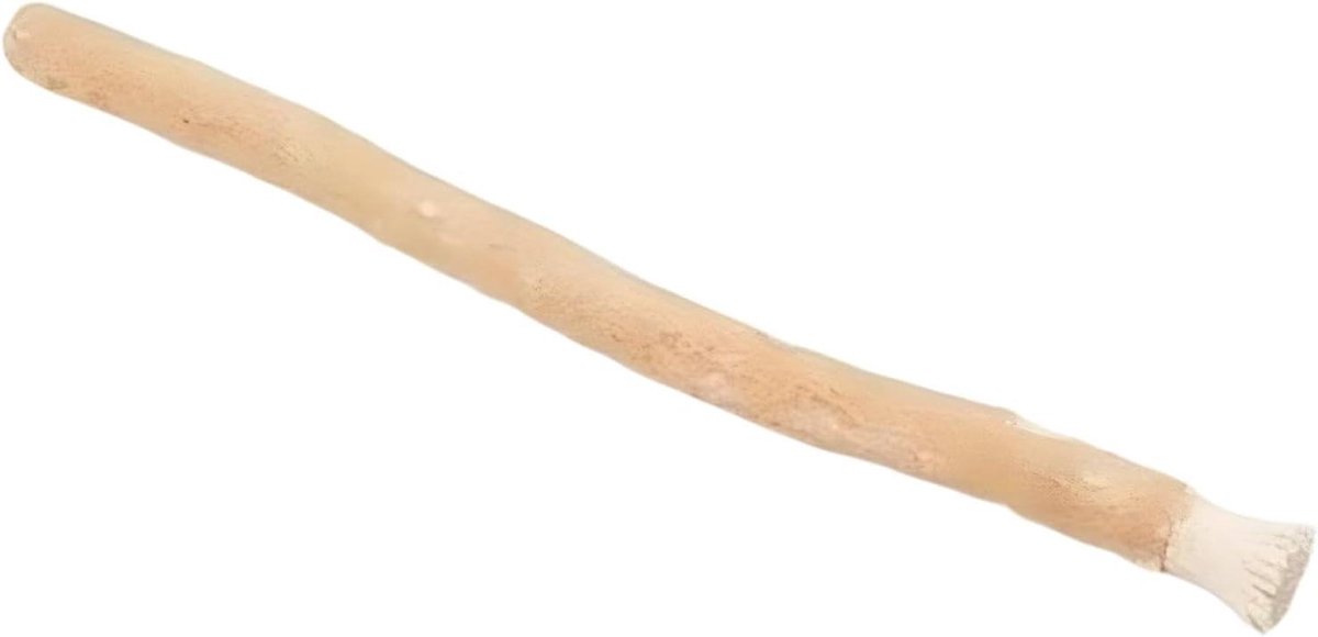 Tanden Bleken Stokjes - Mondverzorging Sticks - Dagelijkse Mondhygiëne - Eco-Vriendelijke Vezels - 20 x 5 x 1 cm
