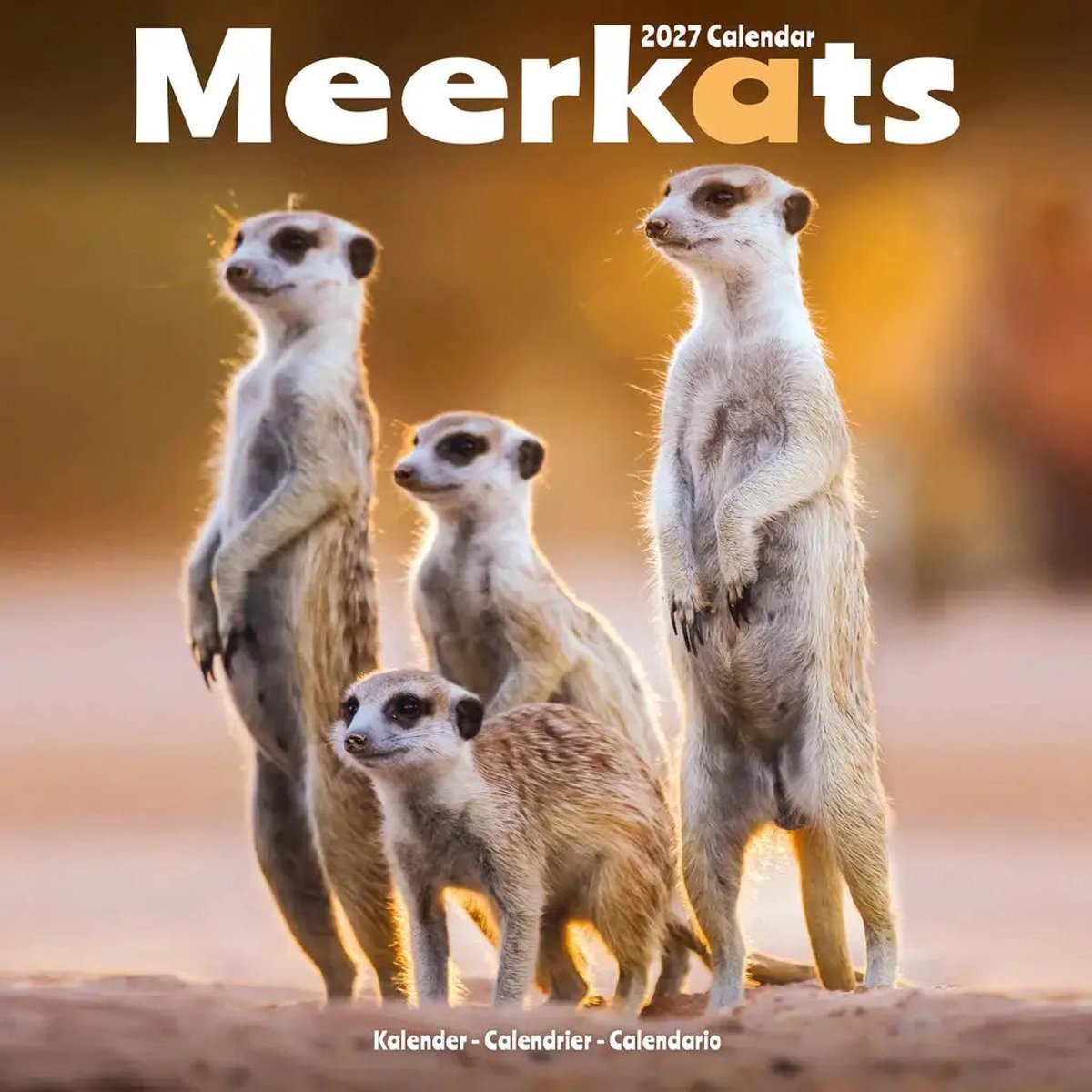 Stokstaartjes Kalender 2027