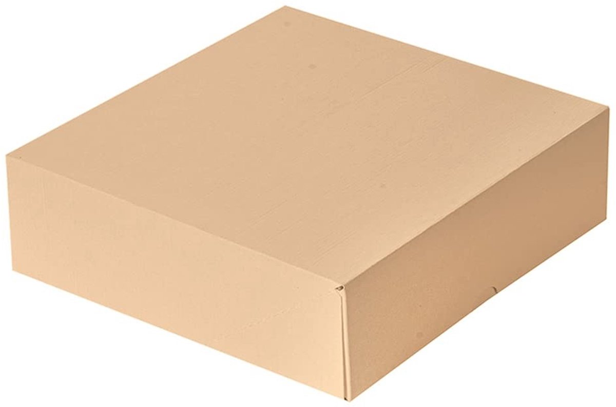 Omgoods - Set van 50 Biologisch Afbreekbare Bankdozen zonder Raam 23x23x7,5 cm