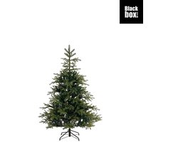 Black Box Trees Felton Kunstkerstboom - Kunst Kerstboom H185 x D124 cm - Groen