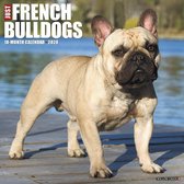 Franse Bulldog Kalender 2020