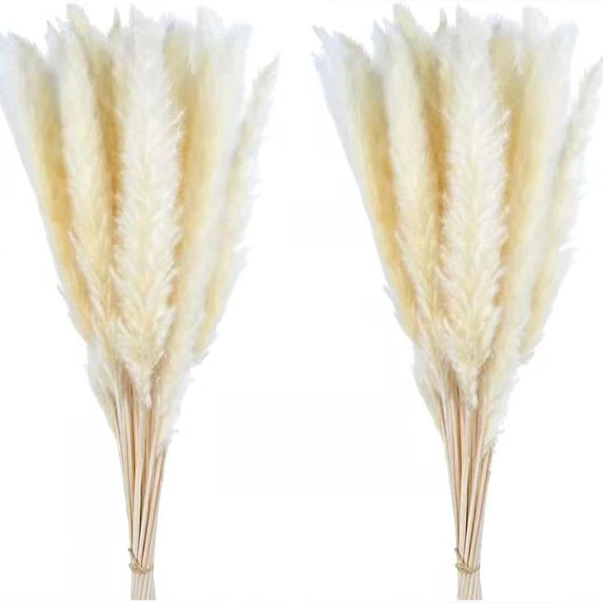 Riet Bloemenboeket - Gedroogd Gras - Bohemian Decoratie - Niet Verliezend - 42 cm - Wit