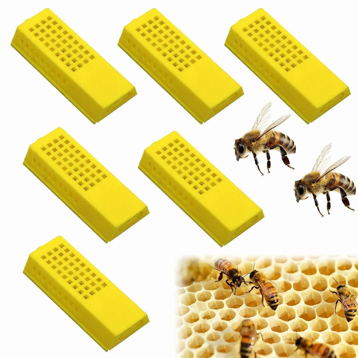 SnelShoppen - Bijenhouderij Opfok Cup Set Plastic Bijen, 6 Stuks, Lichtgewicht, Duurzaam en Veilig voor Koningin Bijen, Ideaal voor Imkers