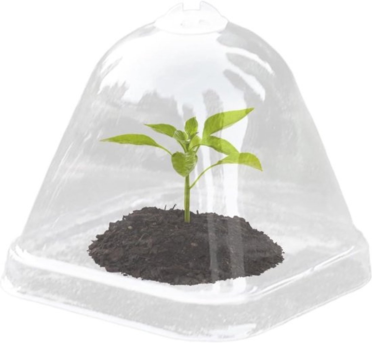 Vochtigheidskoepels Planten - Plantenkappen Kas - Planten Beschermen - Verstelbare Ventilatie - 10 Stuks - Transparant
