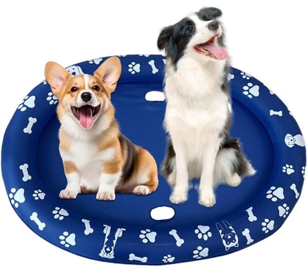Hondenbad - Huisdierbad Zwembad hond - Dierenverzorging - Antislip drijvend podium - 140 x 100 cm - Zie Afbeelding