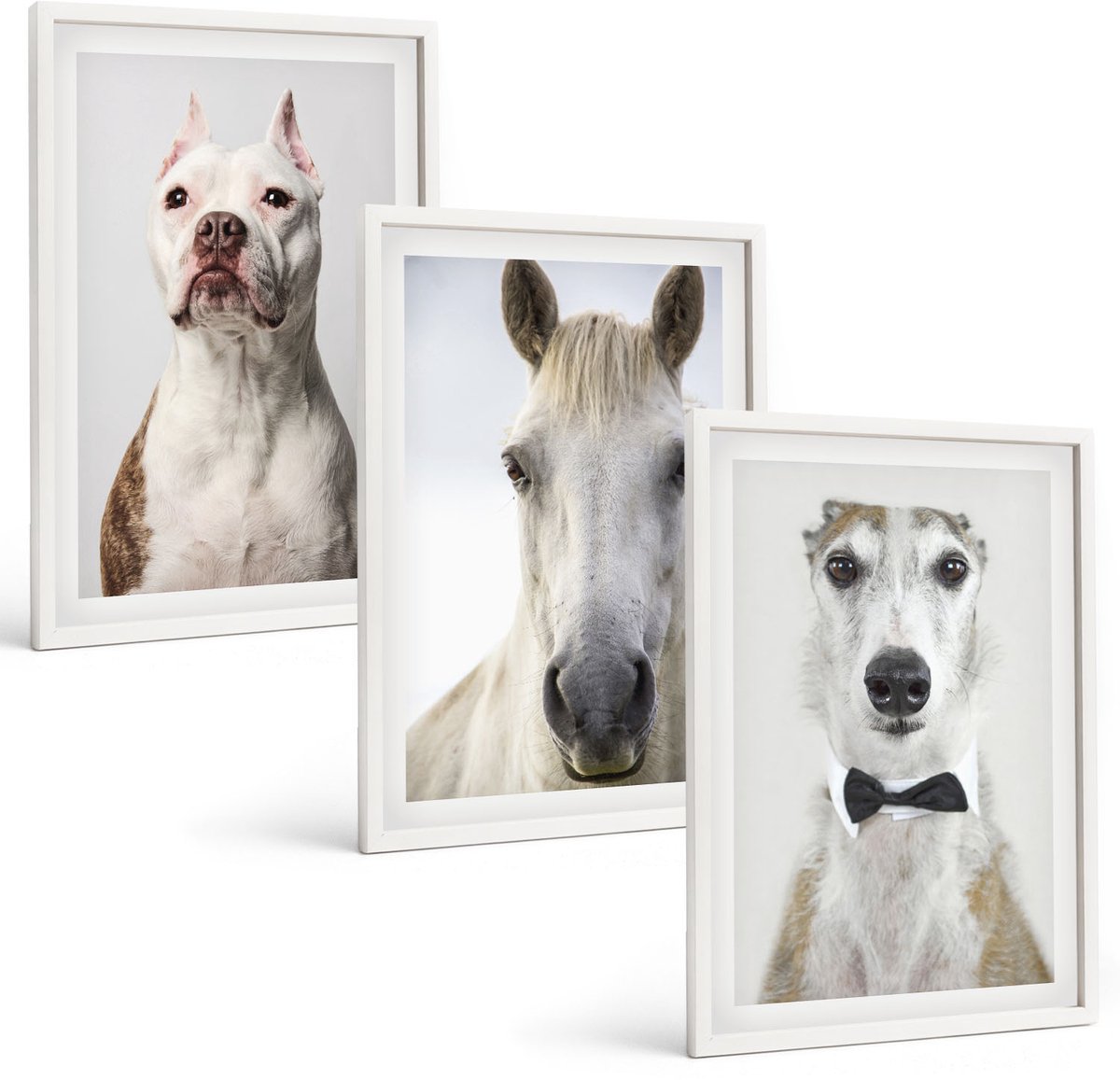Tulup 3-Delige Schilderij Set - Interessante portretten van honden en paarden in een elegante stijl. - 40x60 - Wanddecoratie - Muurdecoratie - Woonkamer - Woonkamer Decoratie