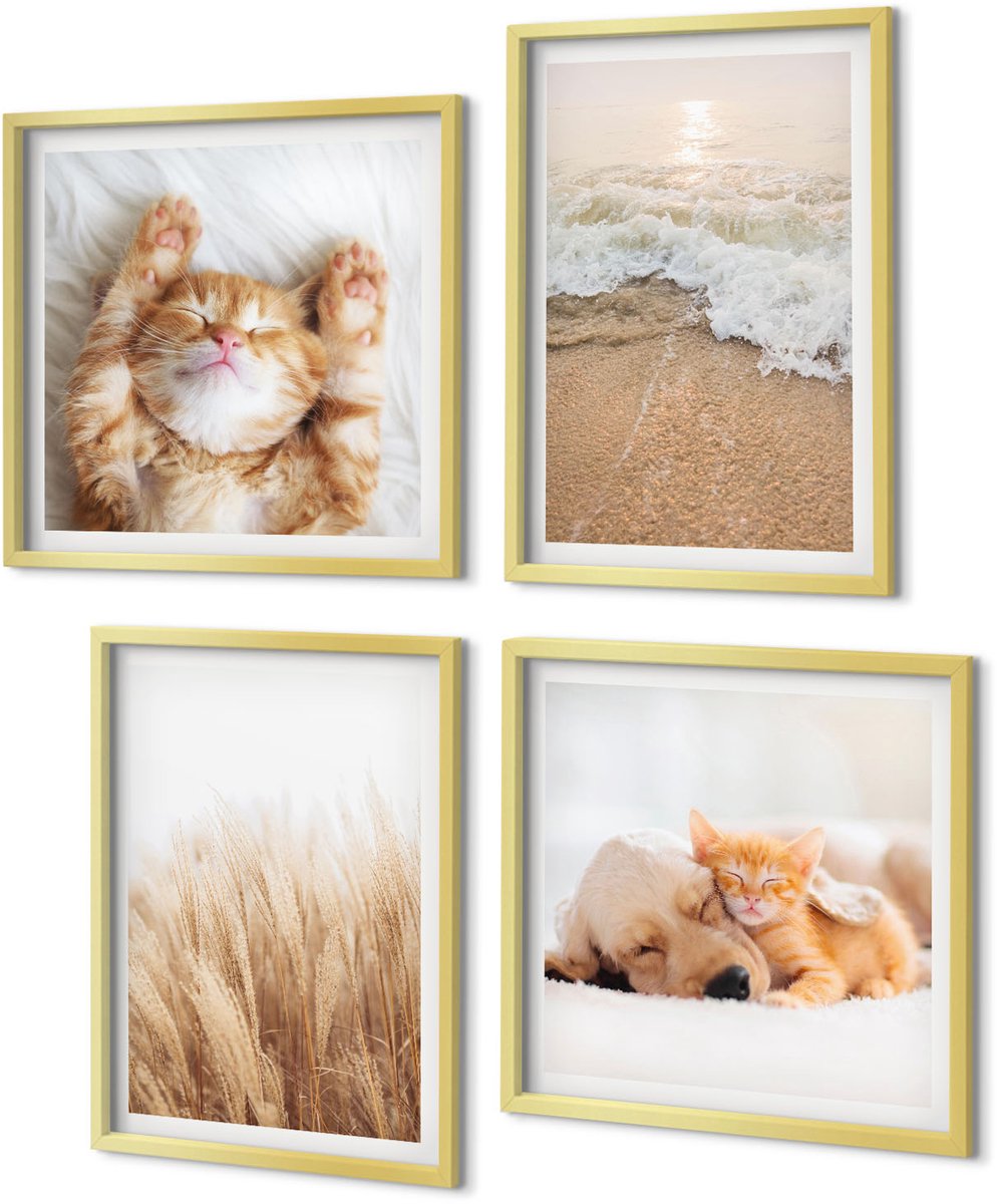 Coloray 4-Delige Schilderij Set - Schattige dieren Katten Honden Strand Gras Boho - 40 x 40 cm en 40 x 60 cm - Stijlvolle Wanddecoratie - Interieur - Decoratieve Schilderijen