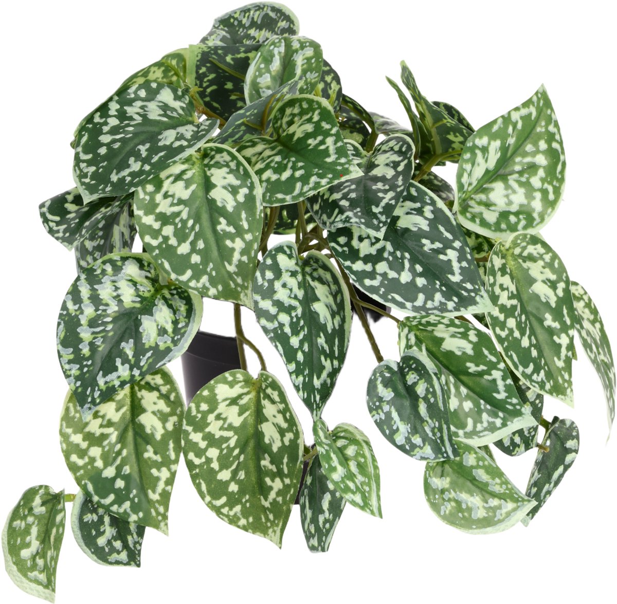 Pictus kunst hangplant 25cm bont in kweekpot
