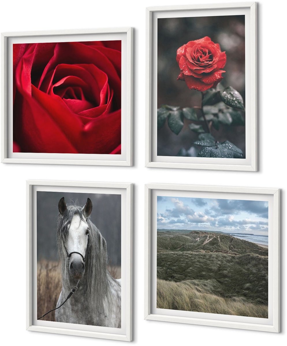 Coloray 4-Delige Schilderij Set - Rode Rozen En Een Paard In Een Grijze Omgeving - 40 x 40 En 40 x 60 - Schilderijen Set - Wanddecoratie - Woonkamer - Decoratieve Schilderijen