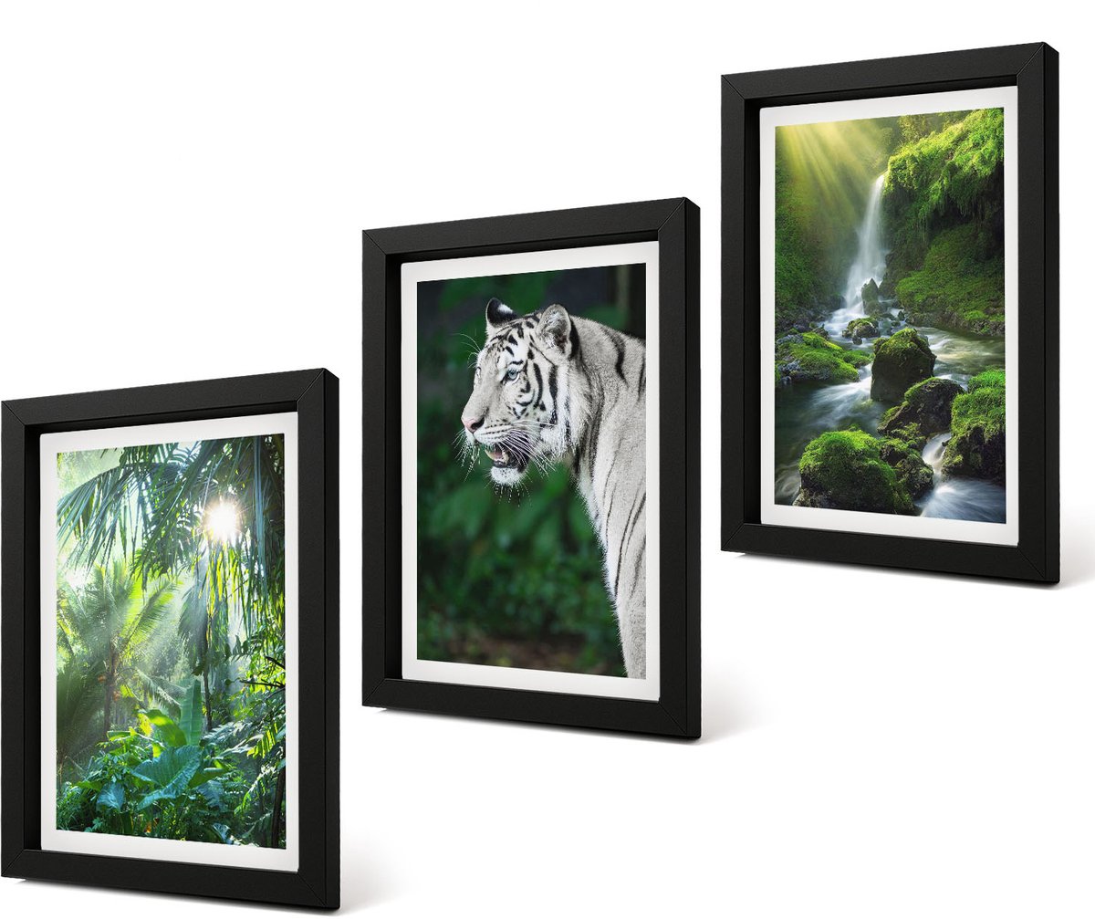 Coloray 4-Delige Schilderij Set - Jungle met een witte tijger en een wilde waterval - 20 x 30 cm - Wanddecoratie - Moderne Interieurdecoratie