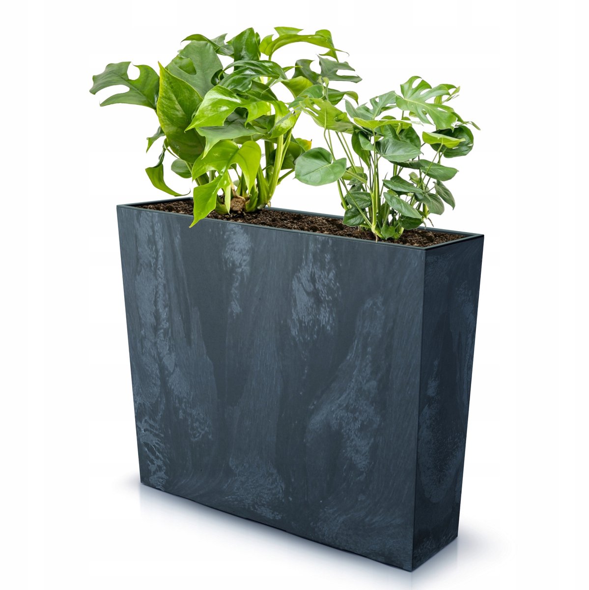 Betonlook Plantenbak Antraciet 58x18x50 cm met Inzetbak