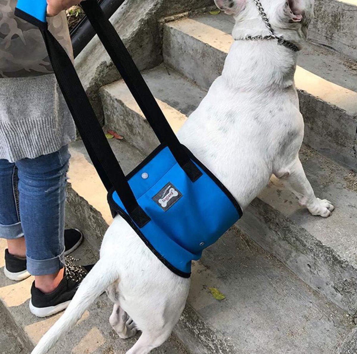 Pet Dog Support Harness, Rehabilitation Harness, Dog Support, Support Bandage for Old, Disabled, Injured Dogs - ShopVlot