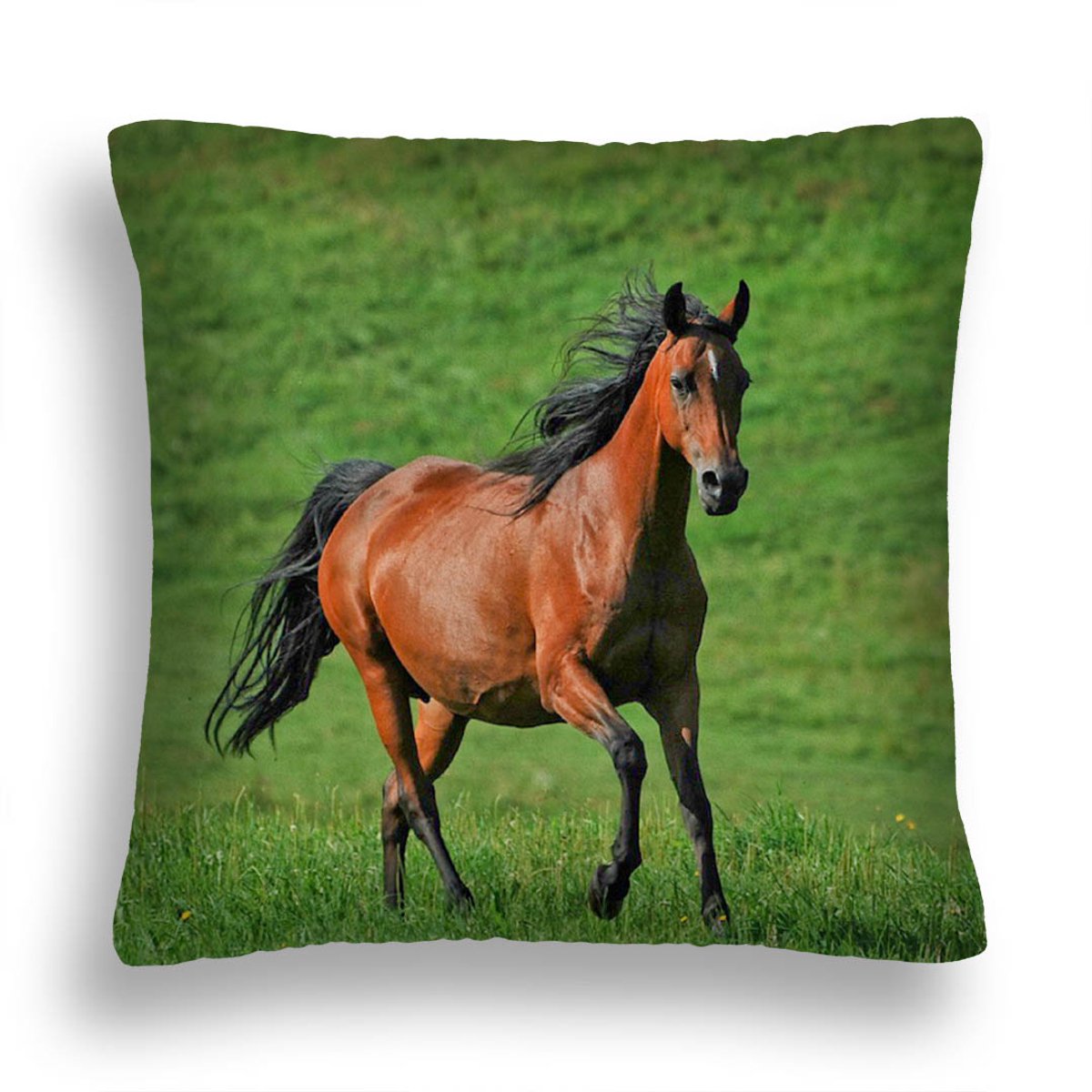Decoratieve Kussen 40x40 cm met Paardenprint - Inclusief Vulling
