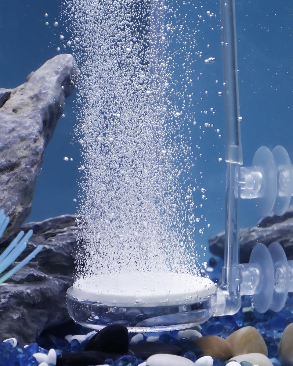 Solidchoice - Mini Air Stone Disc voor Aquarium met Luchtregelklep en Zuignap
