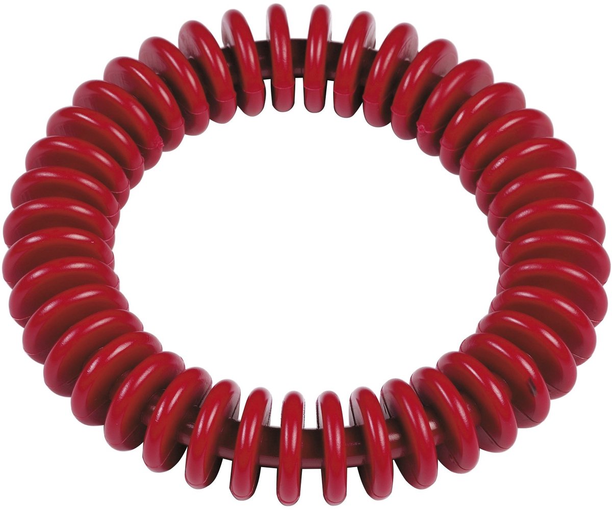 Solidchoice - Duikring voor Babyzwemmen Rood