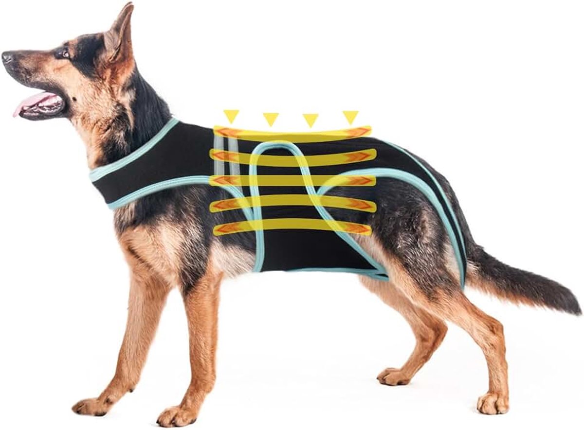 Hondenrugsteunharnas, verstelbare rugsteun voor artritis bij honden, huisdierrugbandage voor IVDD, chirurgisch herstel van de wervelkolom, hernia's (3XL)