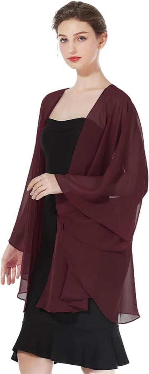 Chiffon Sjaal Stola Dames met Armgaten Elegant doorzichtig Poncho Cape voor Bruiloft Partij Bruidsjurk Avondjurk Baljurk Strandjurk