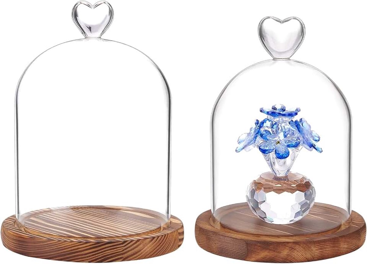 2 stuks glazen klokken met houten sokkel 2 stijlen hartvormige transparante glazen bel met handvat voor planten lichtkettingen tafeldecoratie medaillefoto's