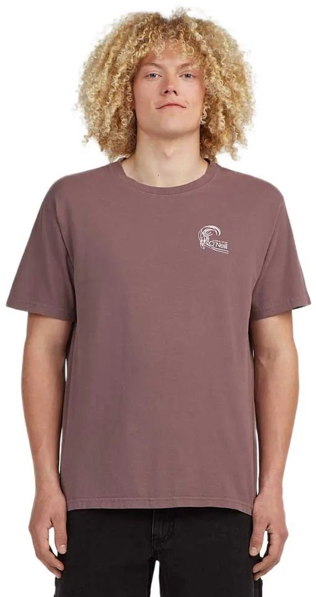 O´neill O´riginals Retro Back Print T-shirt Met Korte Mouwen M Man Grijs