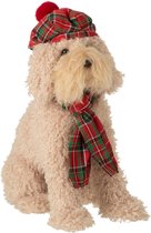 Zittende beige pluche hond met krullende vacht, rode Schotse ruit baret met pompon en bijpassende sjaal.