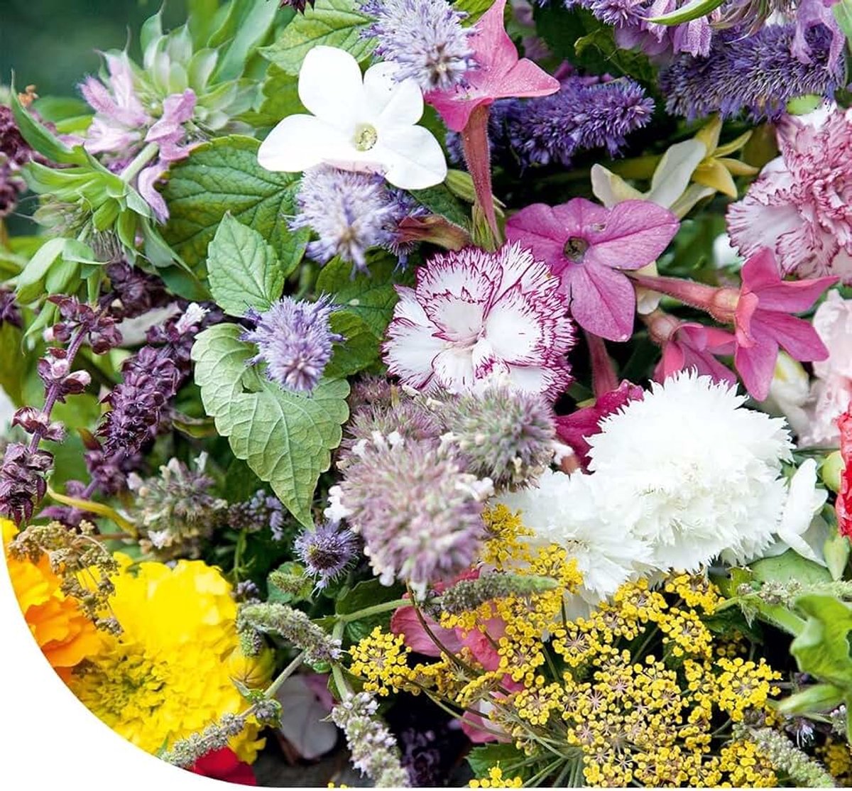 Tuinbloemenmix, 50 g per 25 m², mooie bloemen met heerlijke geuren, trekt nuttige insecten aan