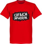 Cofiwch Dryweryn Wall T-Shirt - Rood - S