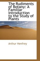The Rudiments of Botany