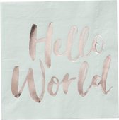 Servetten ‘Hello World’ Mint - 20 stuks