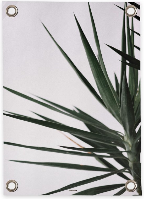 Villa Madelief | Tuinposter Palm| | Vinyl | Tuindecoratie | Tuinschilderij