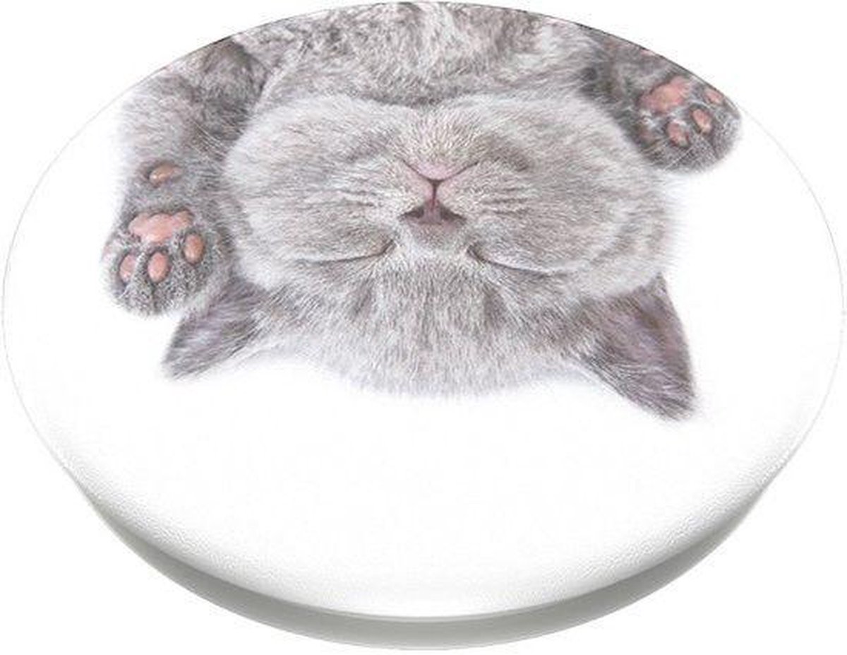 Cat Nap | bol.com