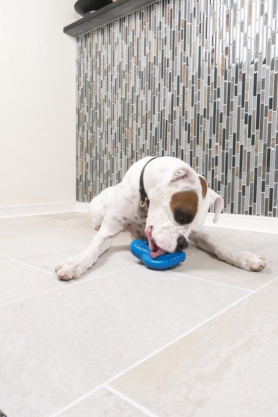 PetSafe Freezable Treat Holding Chilly Penguin – Hondenspeelgoed pinguïn voor in de vriezer – Busy Buddy – Koele traktatie voor honden – Vulbaar met in te vriezen lekkernijen – Groot