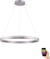 Hanglamp Q-Vito 80cm Staal Smart Home