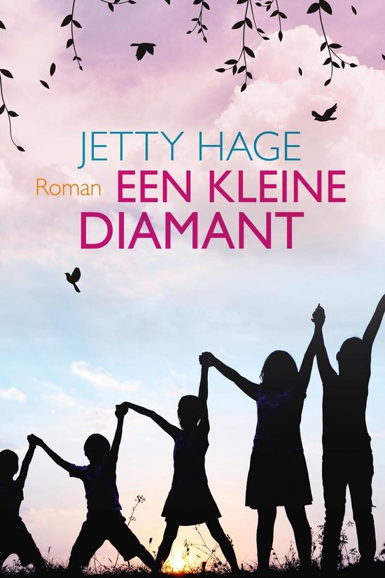 Een kleine diamant - cover