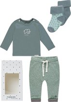 Noppies Cadeauset (4delig) 2paar sokken, Broek Mint met stip en Shirt Mint met Olifant - Maat 68