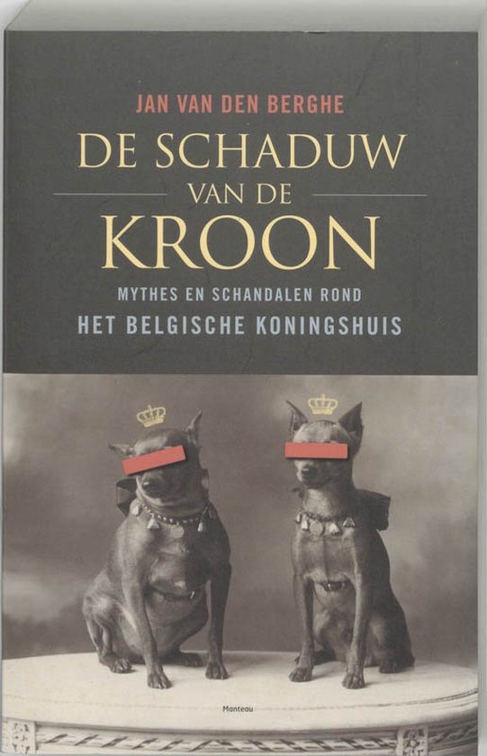 De Schaduw Van De Kroon