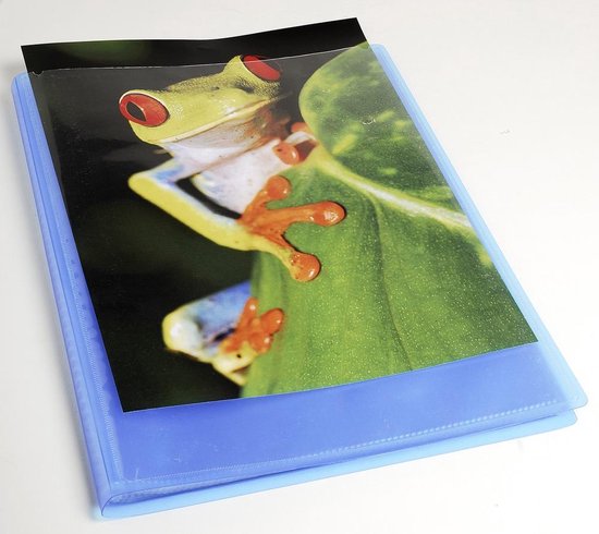 Exacompta - 5768E Kreacover Chromaline Dokumentenmappe, 60 Hüllen aus glattem Kristall, 120 Seiten, für A4, Maße: 24 x 32 cm, Einband aus halbstarrem Polypro, farblos