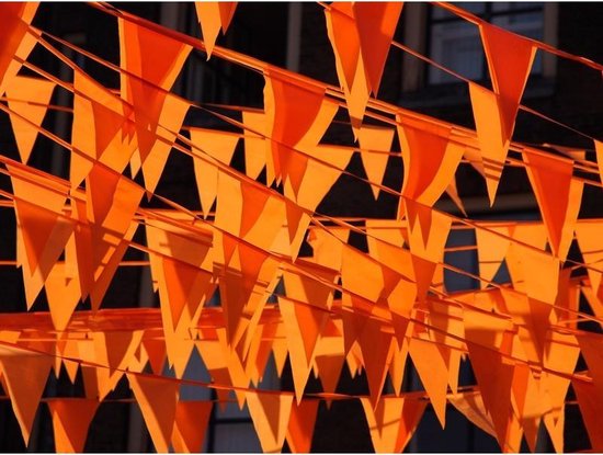 Vlaggenlijn - 20 vlaggetjes - oranje - 10 meter - Koningsdag / WK / EK voetbal vlaggenlijn